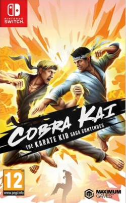 Cobra Kai The Karate Kid Saga Continues Box Art